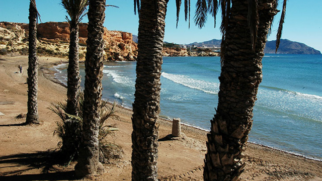 PLAYA NEGRA