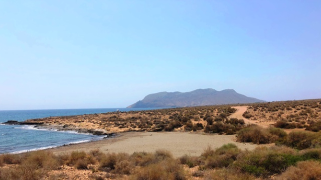 PLAYA DEL POCICO DEL ANIMAL