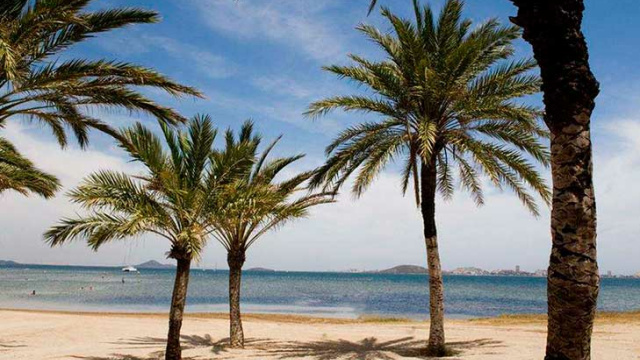 PLAYA LOMAS DEL CASTILLICO (VILLAS CARAVANING)