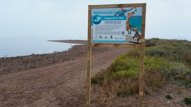 PLAYA CANINA LA LENGUA DE VACA - LOS NIETOS