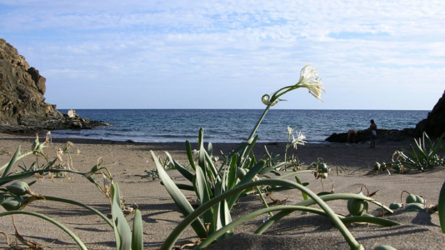 PLAYA BAÑO DE LAS MUJERES